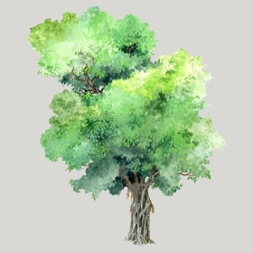 ͼʦģֲģȫ20221313