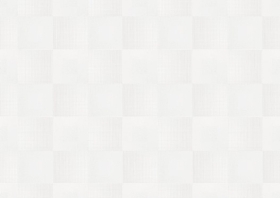 ʯɲǽשǽש 316X45045028  316X450MM