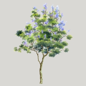 ͼʦģֲģȫ20222570