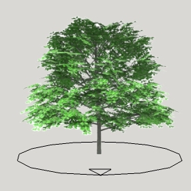 ͼʦģֲģȫ20222262