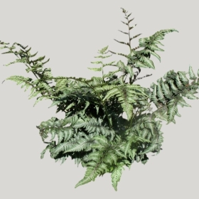 ͼʦģֲģȫ20221735