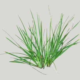 ͼʦģֲģȫ20221706