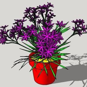 ͼʦģֲģȫ20221337