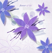 PSDʻģԴļFL-0179