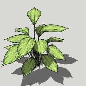 ͼʦģֲģȫ20221267