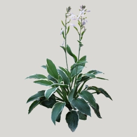 ͼʦģֲģȫ20221668