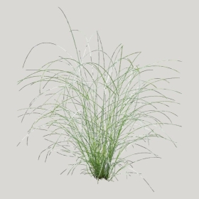 ͼʦģֲģȫ20221742