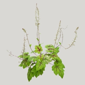 ͼʦģֲģȫ20221360