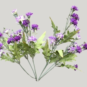 ͼʦģֲģȫ20222254