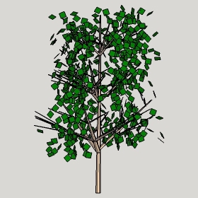 ͼʦģֲģȫ20222391