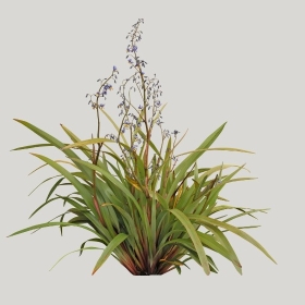 ͼʦģֲģȫ20222355