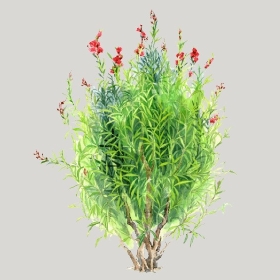 ͼʦģֲģȫ20222557