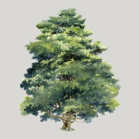 ͼʦģֲģȫ20222665