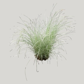 ͼʦģֲģȫ20221945