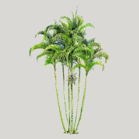 ͼʦģֲģȫ20222605