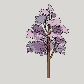 ͼʦģֲģȫ20222705