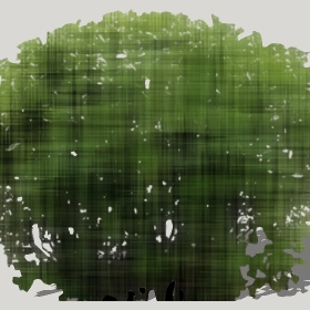 ͼʦģֲģȫ20222419