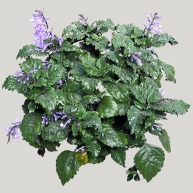 ͼʦģֲģȫ20222214