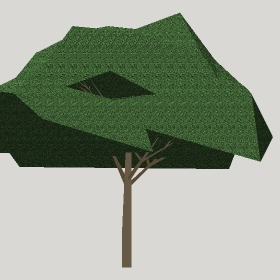 ͼʦģֲģȫ20222388