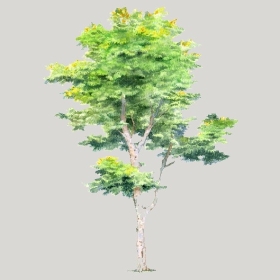 ͼʦģֲģȫ20222103