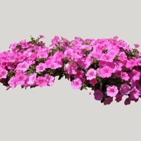 ͼʦģֲģȫ20222147