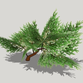 ͼʦģֲģȫ20221220