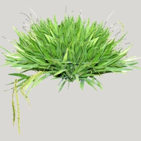 ͼʦģֲģȫ20221527