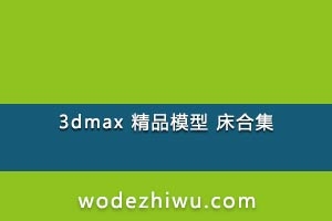 3dmax Ʒģ ϼ