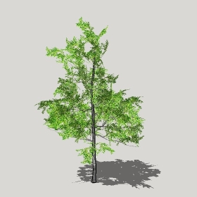 ͼʦģֲģȫ20221254