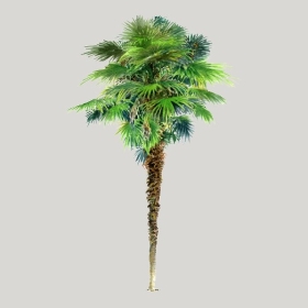 ͼʦģֲģȫ20222684