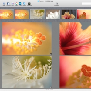 Lyn for mac 1.6 图像浏览器 绿化 免费下载