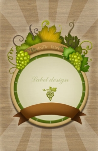 PSD�ʻ�����ģ��Դ�ļ�FL-0441