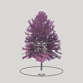 ͼʦģֲģȫ20222240