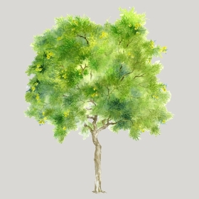 ͼʦģֲģȫ20222358