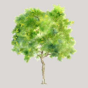 ͼʦģֲģȫ20222357