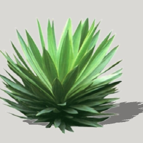 ͼʦģֲTTrees2Dֱģ194