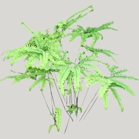 ͼʦģֲģȫ20222008