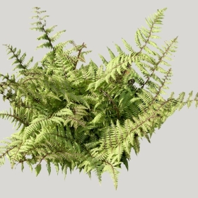 ͼʦģֲģȫ20221487