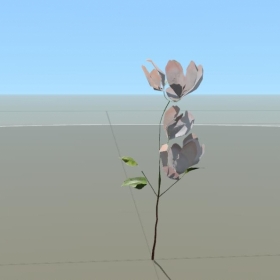 APPLE: SEEDLING (SMALL)
