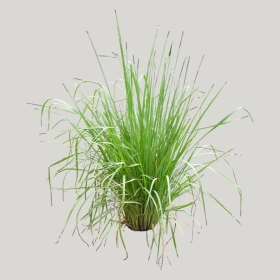 ͼʦģֲģȫ20222215