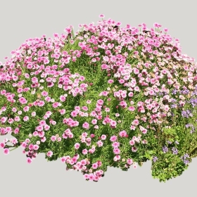 ͼʦģֲģȫ20222164