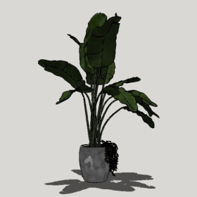 ����ֲ��_Sketchup��ͼ��ʦģ��Enscape����22020426479