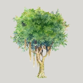 ͼʦģֲģȫ20222660