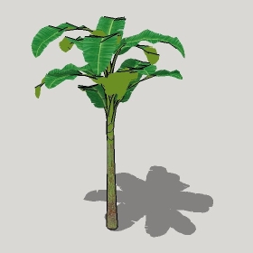 ͼʦģֲģȫ20221235