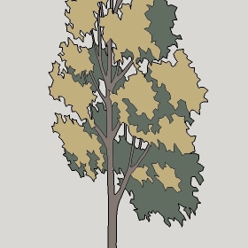 ͼʦģֲTTrees2Dֱģ143