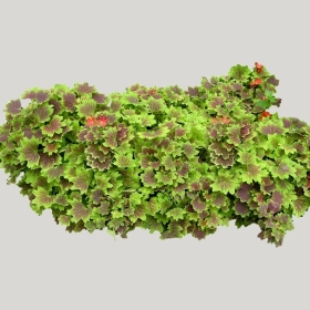 ͼʦģֲģȫ20221453