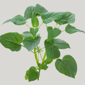 ͼʦģֲģȫ20221364