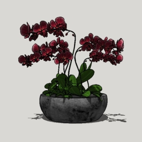 ����ֲ��_Sketchup��ͼ��ʦģ��Enscape����22020426475