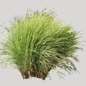 ͼʦģֲģȫ20221145