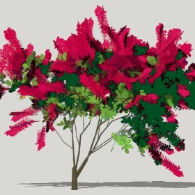 ͼʦģֲģȫ20221241